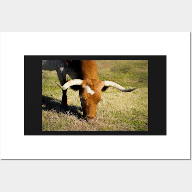 Longhorn Cow In Pasture Wall Art by art64